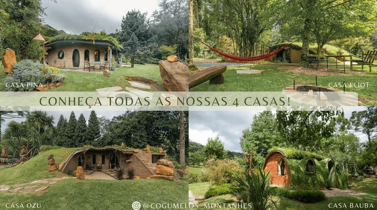Cogumelos Montanhes Chalet *